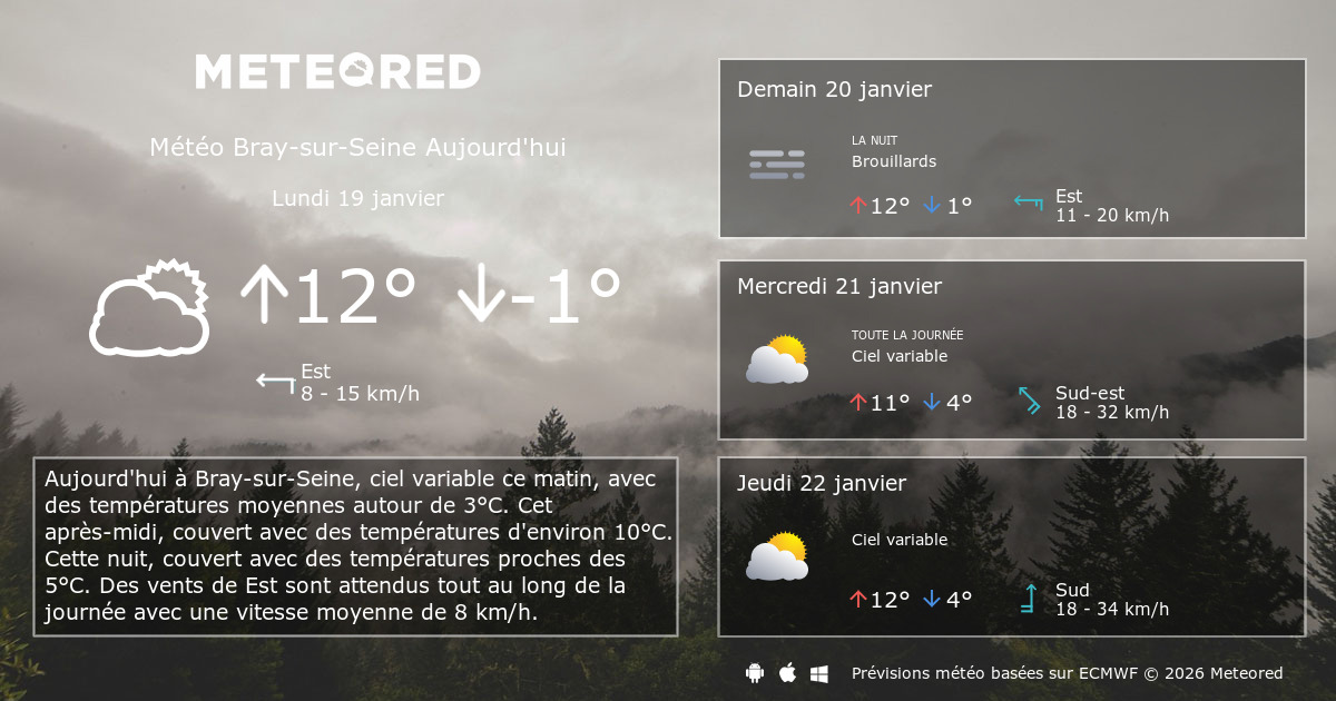Meteo Bray Sur Seine 14 Jours Tameteo Com Meteored