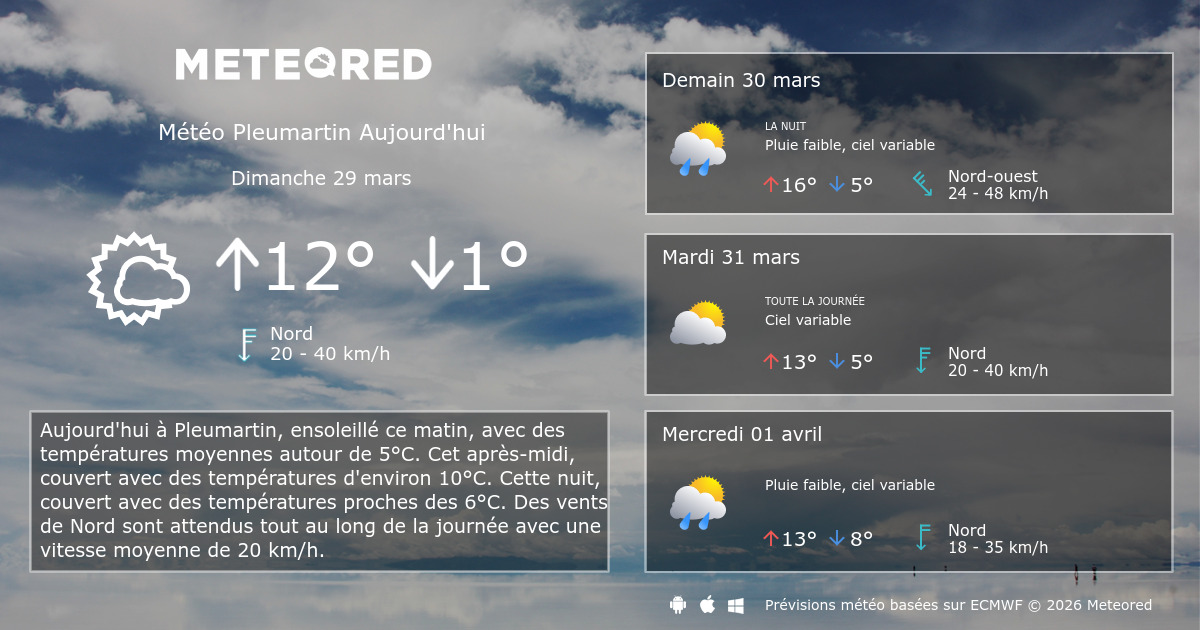 Meteo Pleumartin 14 Jours Tameteo Com Meteored